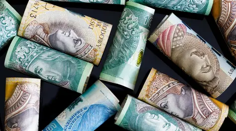 81,3 mld zł tyle wynosi dług Polaków. Rekordzista ma do oddania niemal 100 mln zł. Ile wynosi dług Polaków?