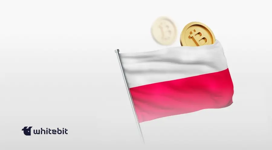 Giełda kryptowalutowa WhiteBIT wchodzi na polski rynek | FXMAG INWESTOR
