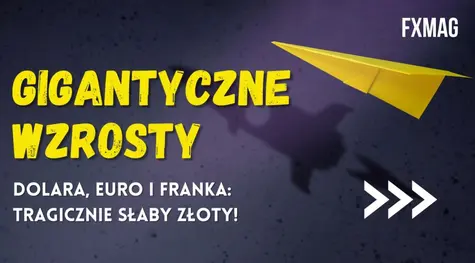 Gigantyczne wzrosty dolara, euro i franka: tragicznie słaby złoty! Kursy USDPLN, EURPLN, CHFPLN dały się we znaki w te wakacje | FXMAG INWESTOR