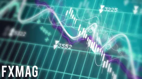 Grupa Azoty wypłaci ponad 78 mln zł dywidendy