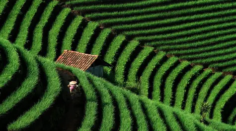 Reforma w Chinach: własność ziemi na terenach pozamiejskich