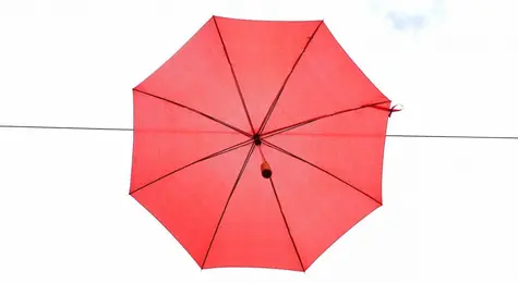 Indywidualna interpretacja podatkowa: parasol ochronny dla podatników | FXMAG INWESTOR