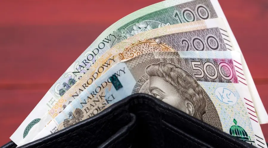 Inflacja w Polsce wciąż dwucyfrowa. Jak zareagował kurs złotego (PLN) na tę niespodziankę?  | FXMAG INWESTOR