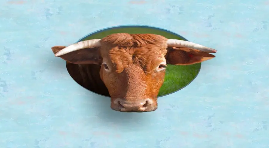 Inwestowanie w (papierowe) krowy | FXMAG INWESTOR
