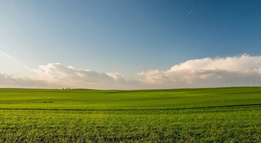 Inwestycje ekologiczne są postrzegane jako bardziej ryzykowne | FXMAG INWESTOR