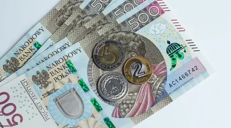 Komentarz rynkowy – narodowa waluta (PLN) może zyskać? Jak długo potrwa spadek eurodolara (€/US$)? | FXMAG INWESTOR