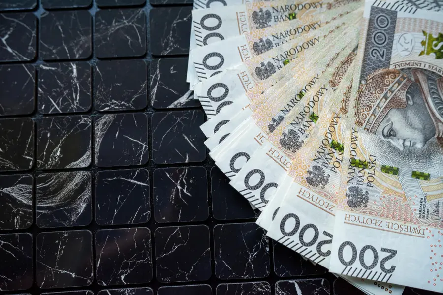 Komentarz walutowy - Złoty reaguje na francuski chaos
