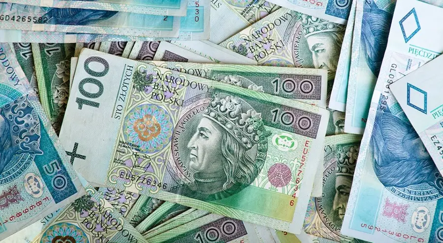 Koniec mocy polskiego złotego? Te wydarzenia będą wpływać na kurs dolara (USD), euro (EUR) i PLN - nie daj się zaskoczyć! | FXMAG INWESTOR