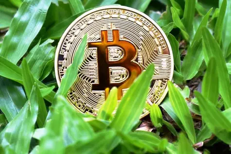 Kurs Bitcoina (BTC) na zielono. Ethereum, Litecoin i Ripple zyskują jeszcze mocniej. Kryptowalut 18 grudnia 2021 | FXMAG INWESTOR