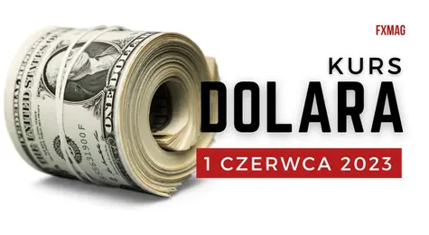 Kurs dolara prognozy na najbliższe dni: ile kosztuje dolar 1 czerwca? Aktualny kurs dolara. Jaki jest kurs dolara – czerwiec? | FXMAG INWESTOR