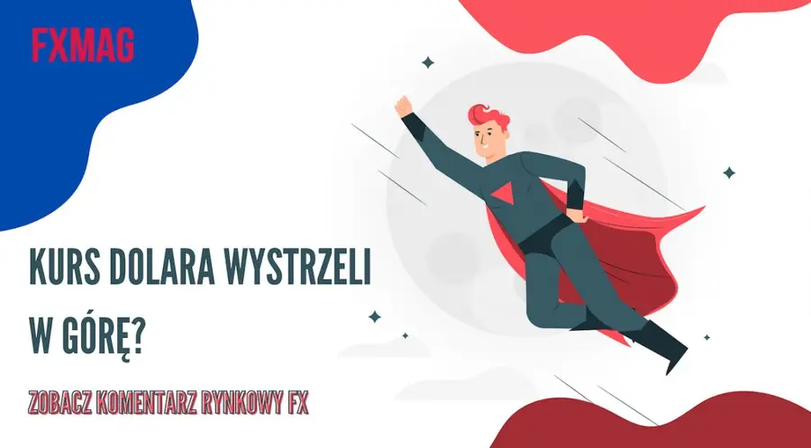 Kurs dolara (USD) do euro (EUR) w 2022 roku może mocno wybić do góry! Czy polski złoty (PLN) namiesza na rynku walut? - zobacz komentarz rynkowy FX | FXMAG INWESTOR