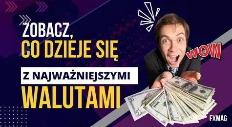 Kurs dolara (USD) pofrunął w dół – potężne przeceny! Zobacz, co dzieje się z najważniejszymi walutami, kursy euro (EUR), franka (CHF), funta (GBP) na rynku Forex | FXMAG INWESTOR