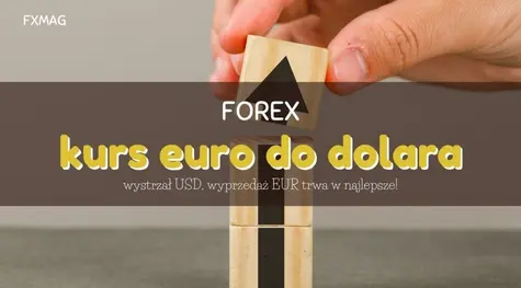 Kurs euro do dolara: wystrzał USD, wyprzedaż EUR trwa w najlepsze! Możliwe, że to nie koniec spadków głównej pary walutowej. Kiepskie perspektywy złotego [Prognozy walutowe] | FXMAG INWESTOR