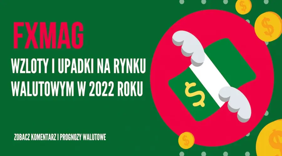 Kurs euro (EUR) i kurs franka (CHF) w 2022 roku pofruną w dół! Funt (GBP) oraz dolar (USD) ku górze? Zobacz komentarz i prognozy walutowe