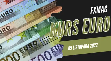 Kurs euro: ile kosztuje euro? Dzisiejszy kurs euro (09.11.2022). Kurs euro prognozy: po ile jest euro? | FXMAG INWESTOR