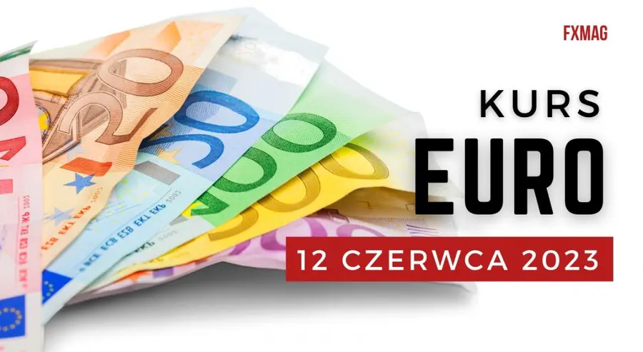 Kurs euro prognozy na najbliższe dni: ile kosztuje euro 12 czerwca? Aktualny kurs euro. Jaki jest kurs euro - czerwiec? | FXMAG INWESTOR
