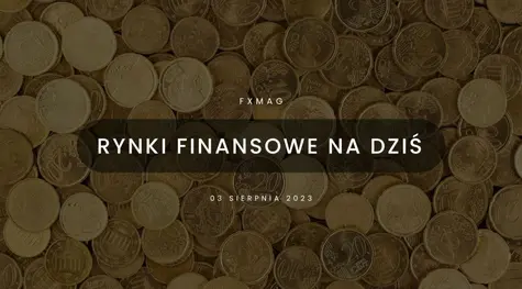Kurs eurodolara (EUR/USD) od paru dni się stacza! Polski złoty (PLN) szuka nowych impulsów [rynki finansowe] | FXMAG INWESTOR