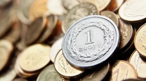 Kurs złotego (PLN) odporny na niesprzyjające otoczenie. Notowania dolara (USD) zyskują  | FXMAG INWESTOR