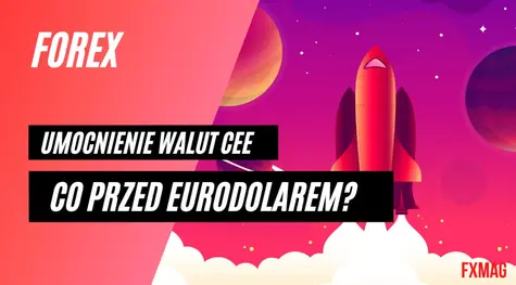 Kursy głównych walut (EUR/PLN, USD/PLN) lecą w dół - umocnienie walut CEE (w tym złotego) na rynku FX! Co przed eurodolarem (EUR/USD)? - komentarz