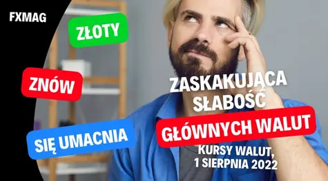 Kursy walut, 1 sierpnia 2022: ogromna i zaskakująca słabość głównych walut, złoty znów się umacnia! Zobacz, ile kosztuje funt (GBP), euro (EUR), rubel (RUB), frank (CHF), korona (CZK), jen (JPY), forint (HUF), dolar (USD)