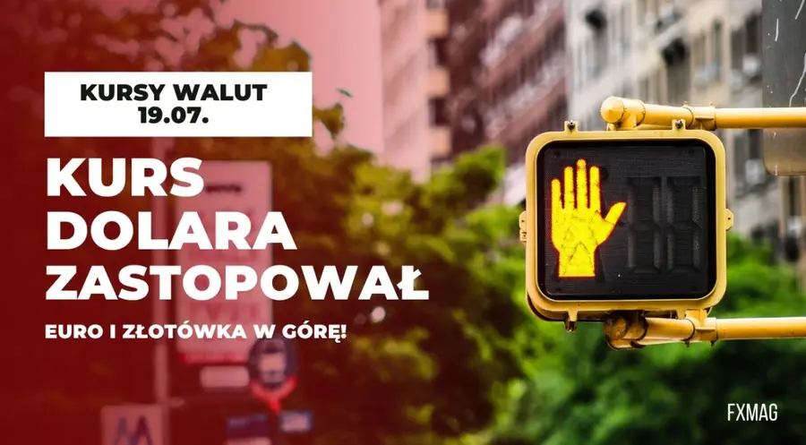 Kursy walut 19.07.: dolar zastopowany - euro i złotówka w górę; mocna presja na FX! Zobacz, ile za rubla (RUB), funta (GBP), jena (JPY), koronę (CZK), dolara (USD), franka (CHF), forinta (HUF), euro (EUR) | FXMAG INWESTOR