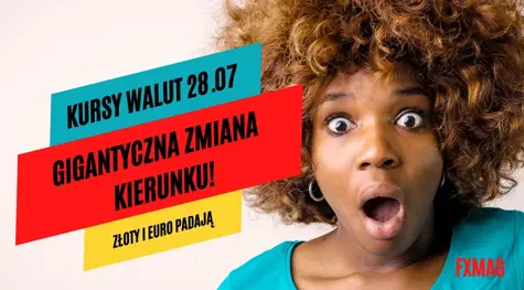 Kursy walut 28 lipca: gigantyczna zmiana kierunku; złoty i euro spadają - bez szans z frankiem! Sprawdź, ile kosztują waluty dzisiaj [dolar, funt, forint, jen, korona, euro, rubel, frank na rynku FOREX]