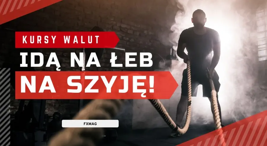 Kursy walut idą na łeb, na szyję! Koniecznie sprawdź aktualne prognozy dla euro (EUR), korony norweskiej (NOK), franka (CHF), dolara (USD) i funta (GBP). Zobacz, po ile będą waluty  | FXMAG INWESTOR