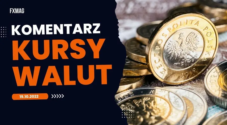 Kursy walut (komentarz FOREX): poprawa nastrojów na rynkach winduje notowania walut CEE (w tym kurs złotego) | FXMAG INWESTOR