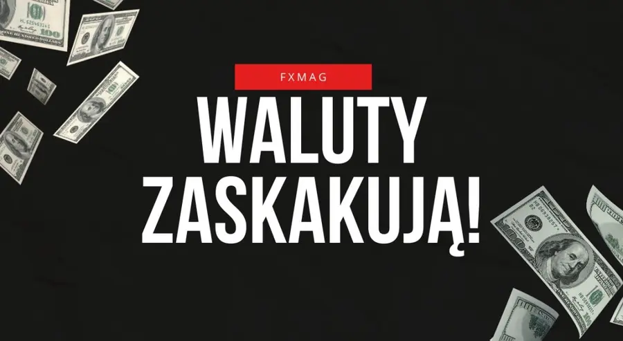 Kursy walut szokują! Złoty miał spadać… i zaraz może znów ostro zaskoczyć Polaków. Sprawdź, po ile będzie dolar, frank, funt, euro - prognozy FOREX | FXMAG INWESTOR