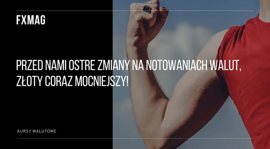 Kursy walutowe: przed nami ostre zmiany na notowaniach walut, złoty coraz mocniejszy! Frank (CHFPLN), funt (GBPPLN), euro (EURPLN), dolar (USDPLN) - zobacz wykresy z par walutowych FX