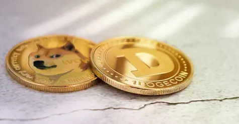 Krzysztof Raś: meme coiny ukazują siłę społeczności internetowych | FXMAG INWESTOR
