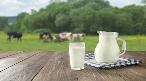Mleko i produkty mleczne - wzrost cen produktów mlecznych znacząco przyspieszył - skup bije rekordy! Czy silny popyt, w roku 2022, się utrzyma? | FXMAG INWESTOR