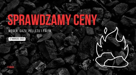 Dzisiaj jedna tona węgla kosztuje już ok. 580 PLN! Ceny zaskakują Polaków. Sprawdzamy ceny paliw, gazu, węgla i pelletu przed weekendem (17.03.2023)