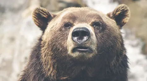 Notowania giełdowe - początek krachu? DAX, S&P, IBEX mocno w dół