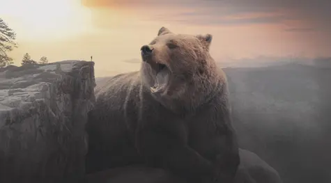 Ogromna ilość niedźwiedzi w Stanach Zjednoczonych. Czy to już apogeum pesymizmu? | FXMAG INWESTOR