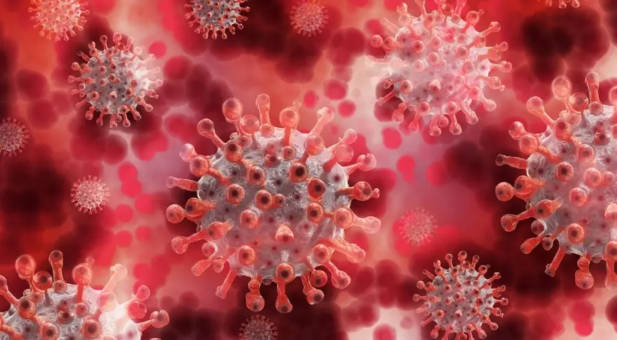 Pandemia koronawirusa przyspieszyła rozwój cywilizacji | FXMAG INWESTOR