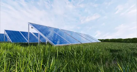 Panele fotowoltaiczne w winiarni? Ambra stawia na zieloną energię
