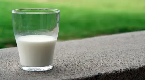 Najbliższe miesiące przyniosą spadek cen skupu mleka [AGROMAPA 5]