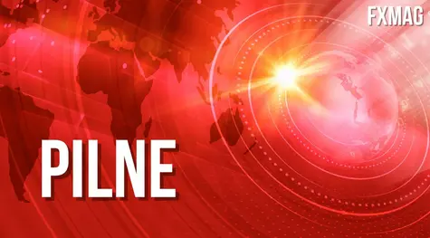 PILNE: NBP znów sprzedaje waluty! Komunikat Narodowego Banku Polskiego | FXMAG INWESTOR