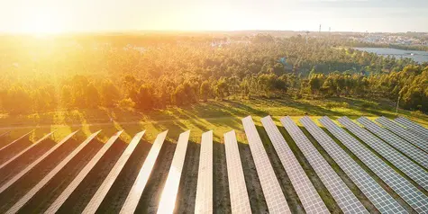 PKO Bank Polski wspiera zieloną energię  | FXMAG INWESTOR