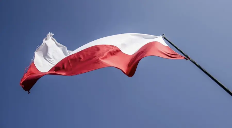 Polska gospodarka - mamy najnowsze dane! Jak reaguje złoty (PLN)? | FXMAG INWESTOR
