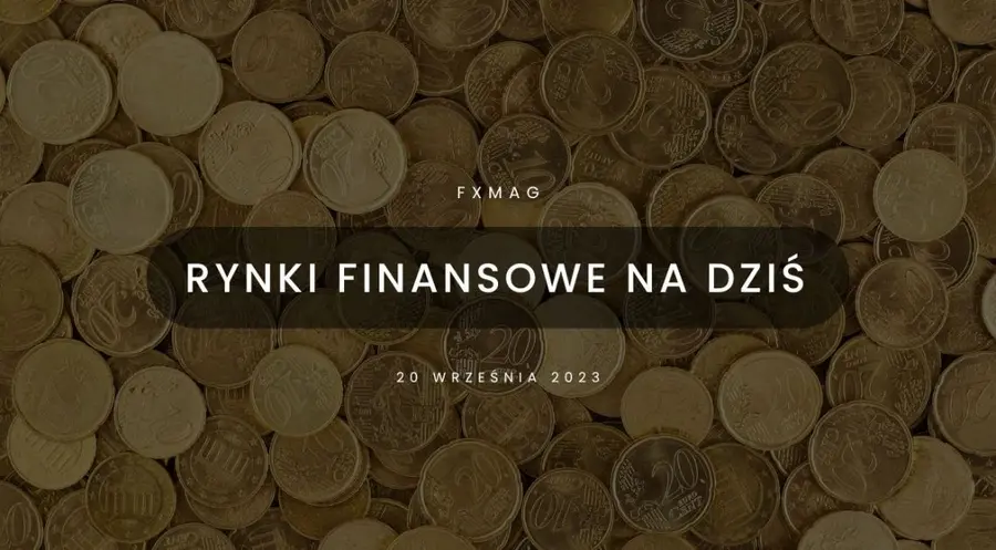 Polska waluta dźwiga ciężar czynników gospodarczych. Kurs EUR/PLN dalej rośnie [rynki finansowe] | FXMAG INWESTOR