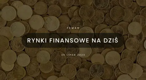 Polska waluta (PLN) niewrażliwa na lokalne impulsy. Dolar (USD) wzmocni pozycję w relacji z euro (EUR)? [rynki finansowe] | FXMAG INWESTOR