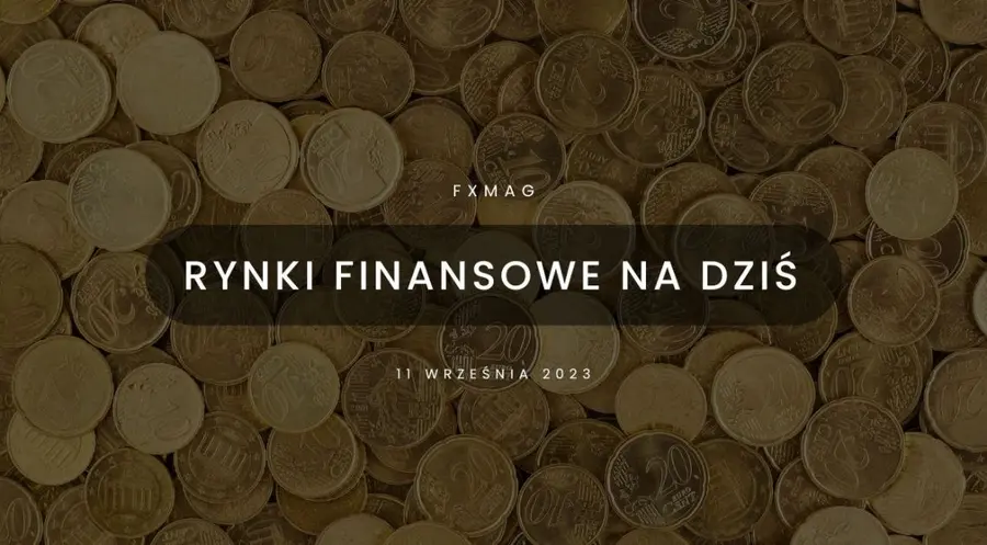 Polska waluta próbuje wrócić do gry – kurs EUR/PLN wkracza w okres podwyższonej zmienności? [rynki finansowe] | FXMAG INWESTOR