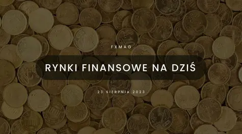Polski złoty (PLN) czeka na coś większego – danych makro nawet nie bierze pod uwagę [rynki finansowe] | FXMAG INWESTOR
