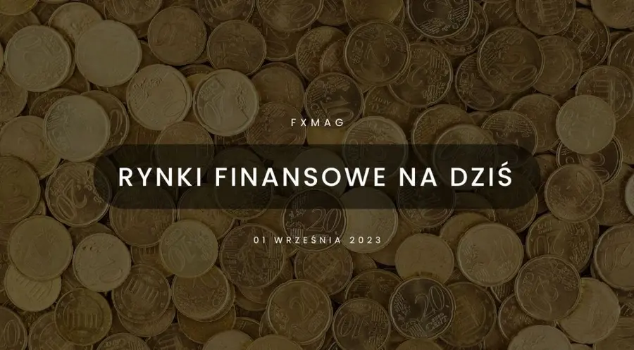 Polski złoty (PLN) nie przejął się rozbieżnością odczytu inflacji z oczekiwaniami. Co na to RPP?