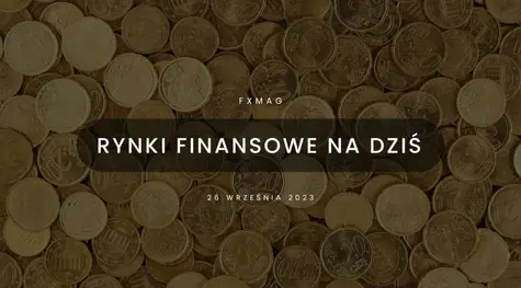 Polski złoty (PLN) powoli podnosi się po ostatnich porażkach. Eurodolar (EUR/USD) pozwoli mu wrócić do sił? [rynki finansowe] | FXMAG INWESTOR