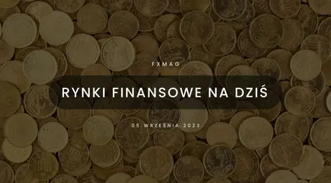 Polski złoty (PLN) wreszcie będzie miał okazję do umocnienia? Może nawet nie jedną! [rynki finansowe] | FXMAG INWESTOR