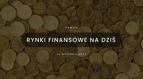 Polski złoty (PLN) wskoczył na falę w odpowiednim momencie i odrobił część strat [rynki finansowe] | FXMAG INWESTOR