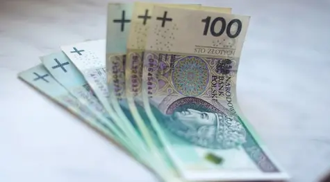 Polski złoty traci na wartości. Sprawdzamy kurs dolara, euro, franka i funta | FXMAG INWESTOR